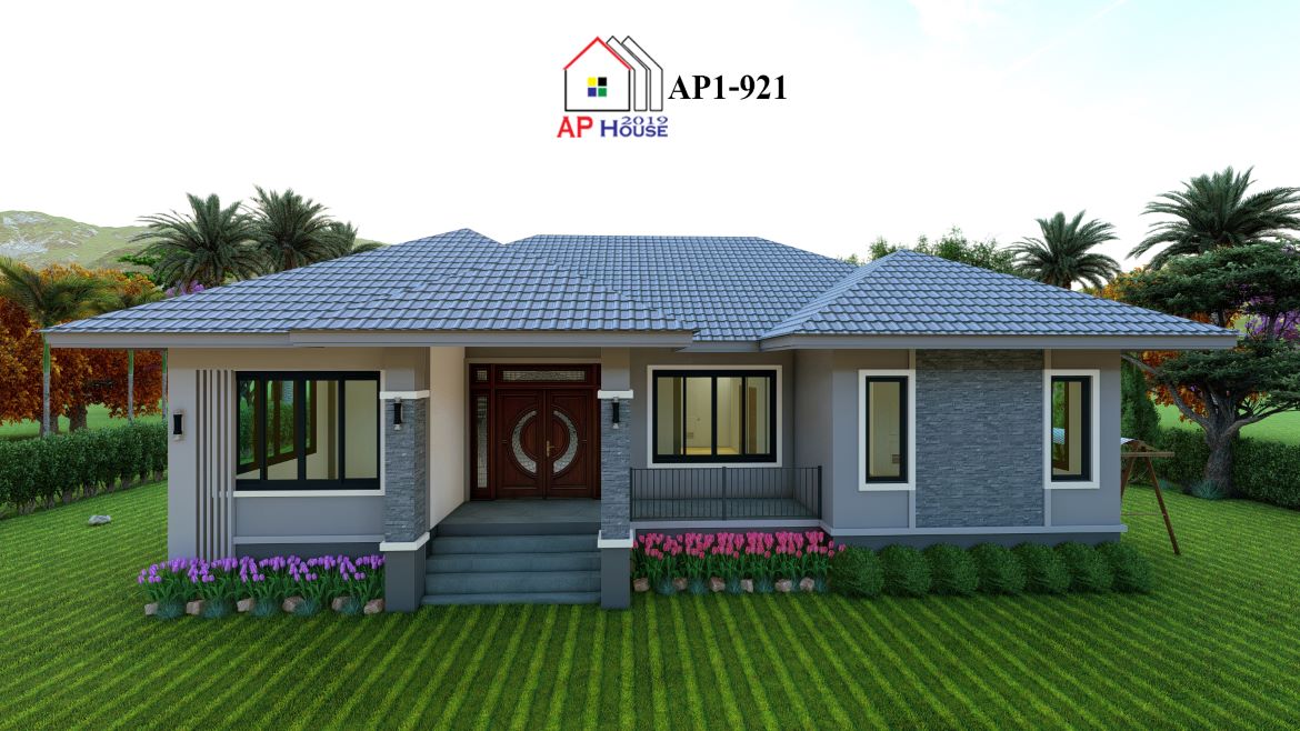 AP1-0921 Custom (1/6)