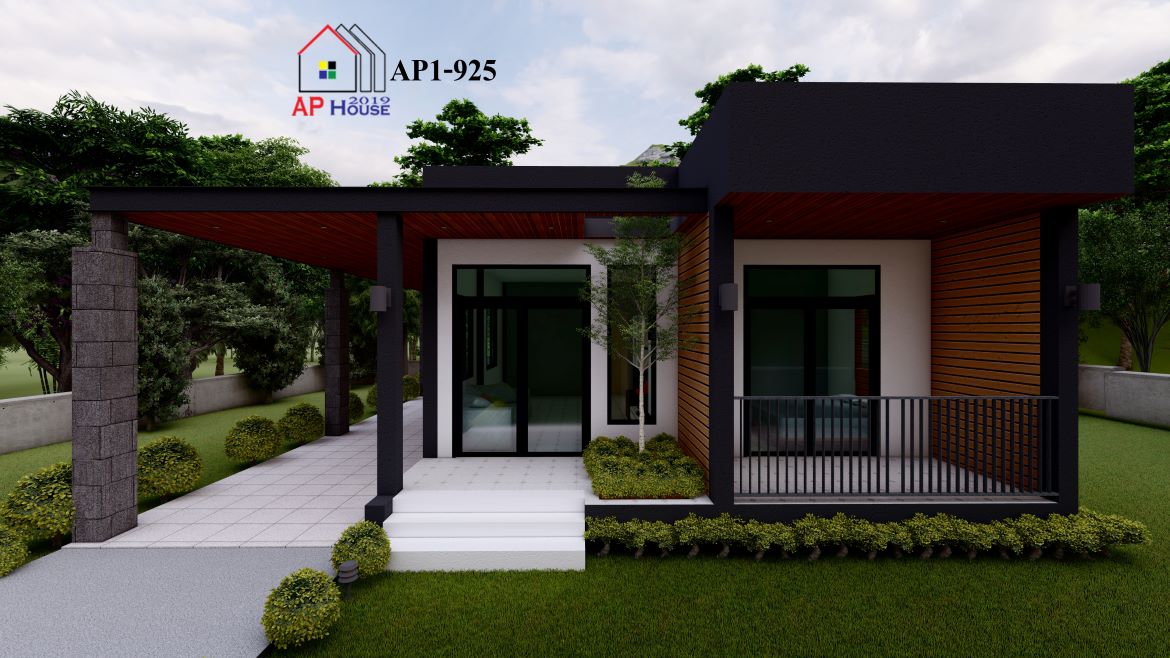 AP1-0925 Custom (1/5)