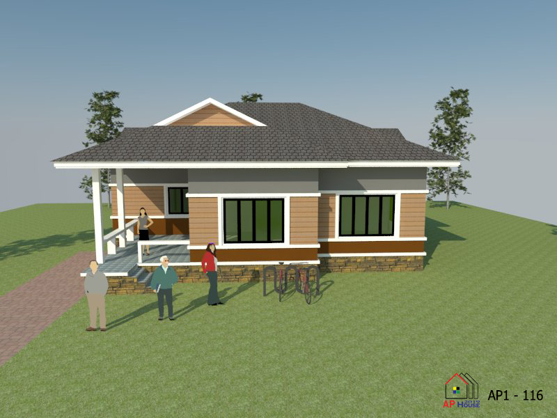 AP1-116 Custom (1/5)