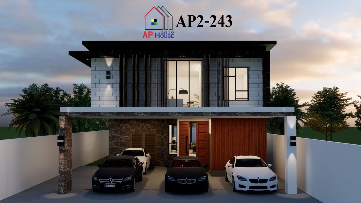 AP2-0243 Modern (1/4)