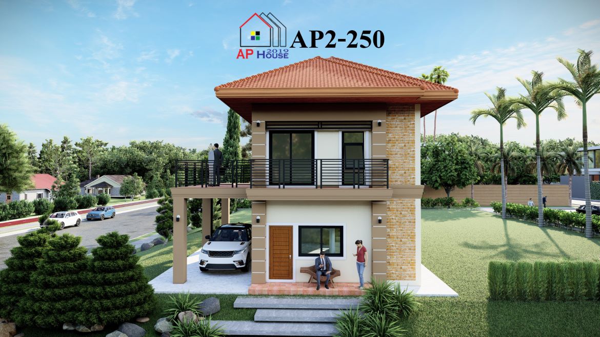 AP2-0250 Custom (1/4)
