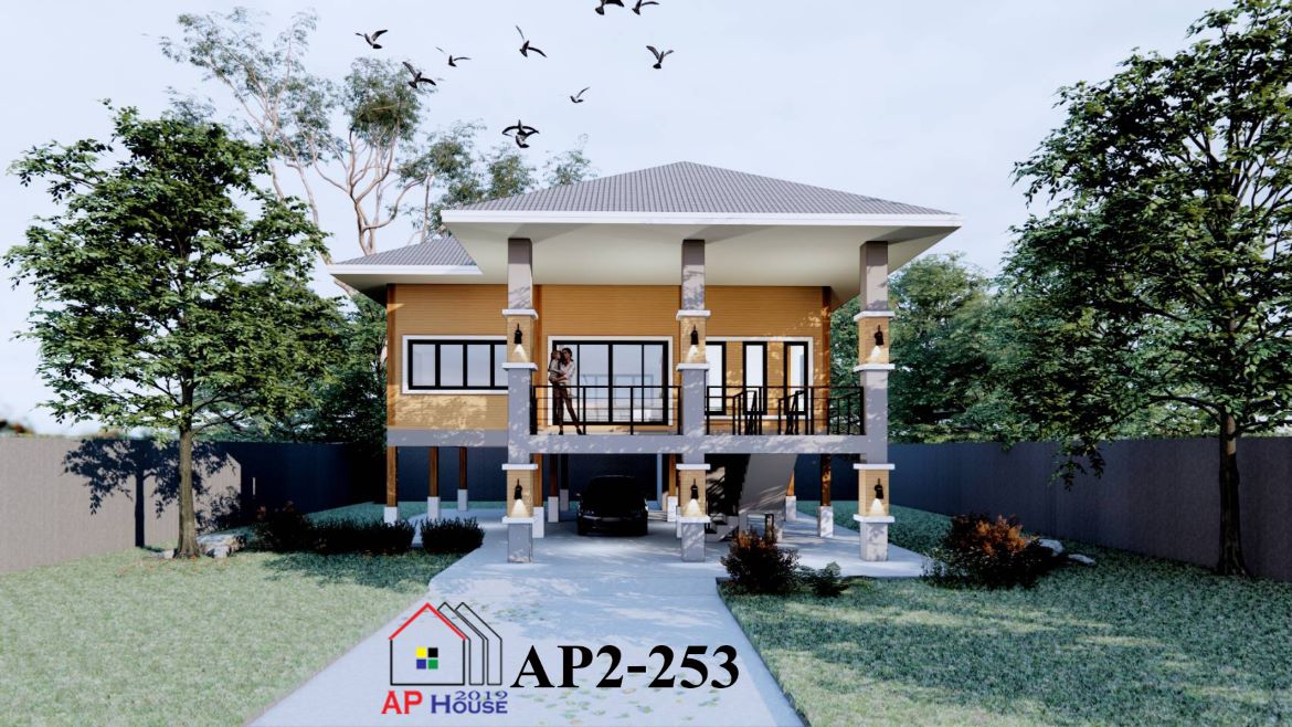 AP2-0253 Custom (1/5)